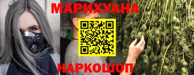 прущие крисы Бийск