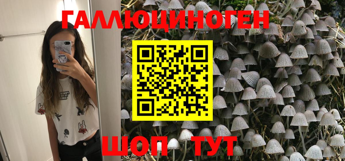 Галлюциногенные грибы мухоморы Карпинск