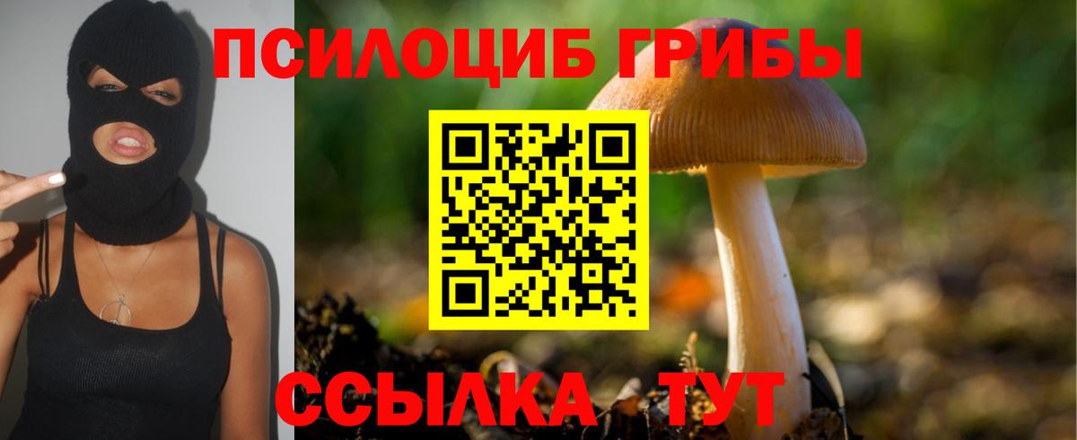 Псилоцибиновые грибы Magic Shrooms  Вход с VPN  Карпинск 